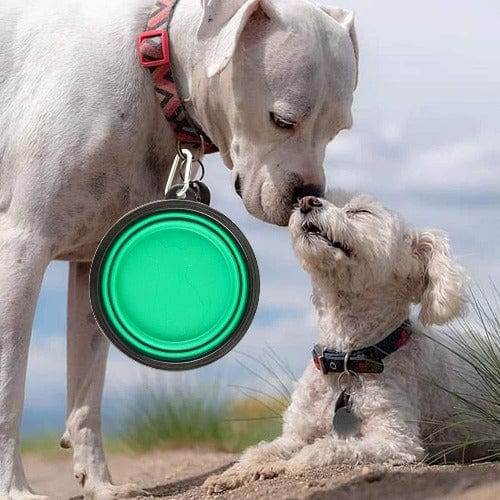 Collapsible Dog Bowl Silicone Travel 13cm 18cm Foldable Portable Clip-On Food Water Bowl Walking Hiking Camping | Koossa