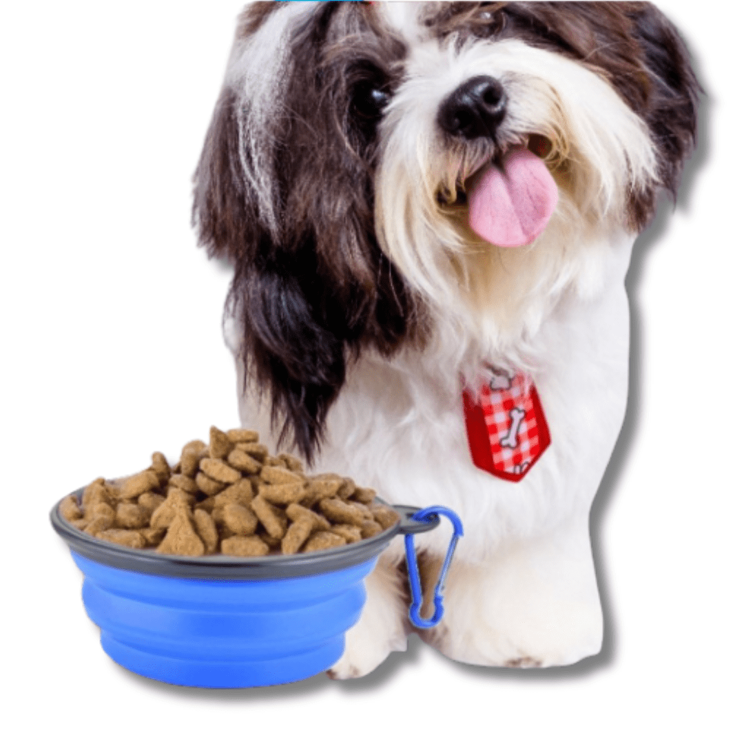 Collapsible Dog Bowl Silicone Travel 13cm 18cm Foldable Portable Clip-On Food Water Bowl Walking Hiking Camping | Koossa