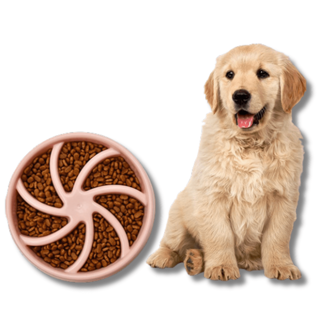 Slow Feeder Dog Bowl Maze Design PP ABS Anti-Slip Dishwasher Safe 200ml Bloat Prevention Cat Dog Puzzle Bowl | Koossa