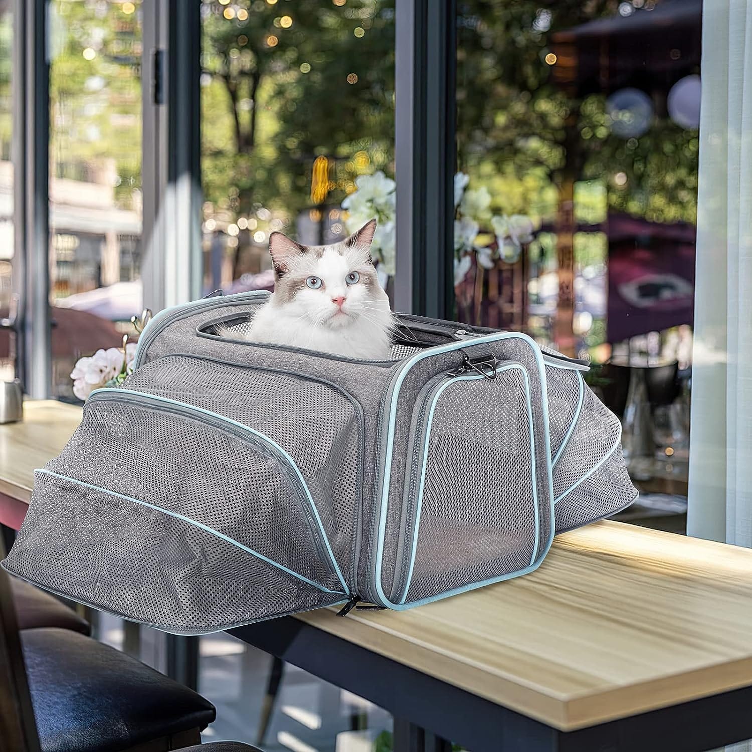 Pet Carrier Bag Oxford Fabric Expandable 46x28x28cm Airline Approved 4-Way Entry Breathable Mesh Cat Dog Travel Bag | Koossa