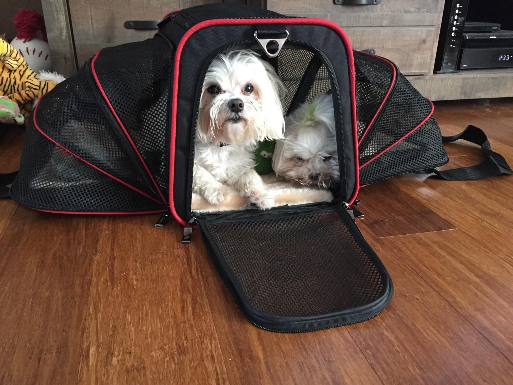 Pet Carrier Bag Oxford Fabric Expandable 46x28x28cm Airline Approved 4-Way Entry Breathable Mesh Cat Dog Travel Bag | Koossa