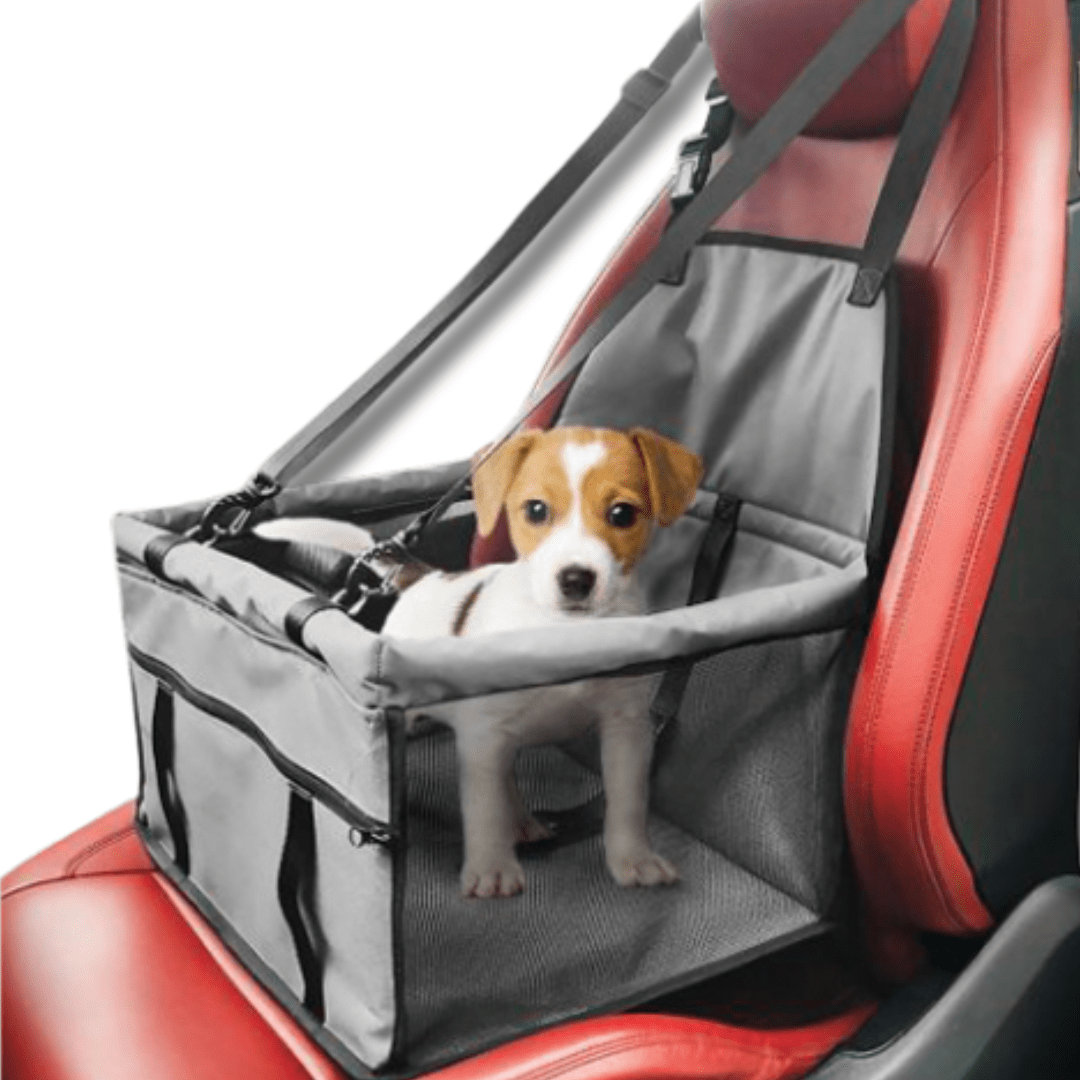 Dog Car Seat Carrier Elevated Booster Seat Secure Attach Belt Small Medium Dogs Travel Carrier Foldable Portable Car Pet Seat | Koossa
