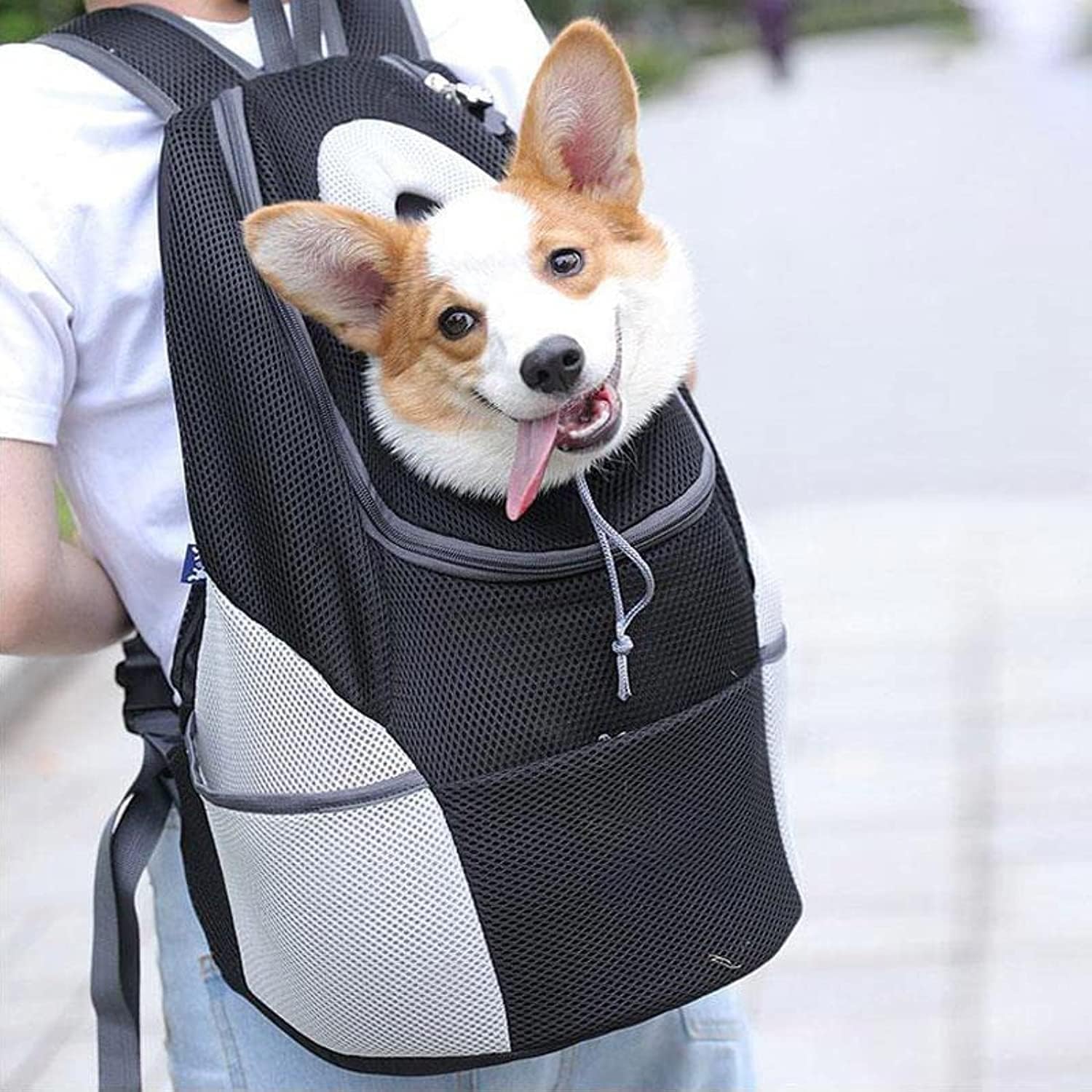 Dog Carrier Backpack Oxford Polyester Breathable Mesh S M L Up to 8kg Safety Leash Padded Hiking Travel Pet Bag | Koossa