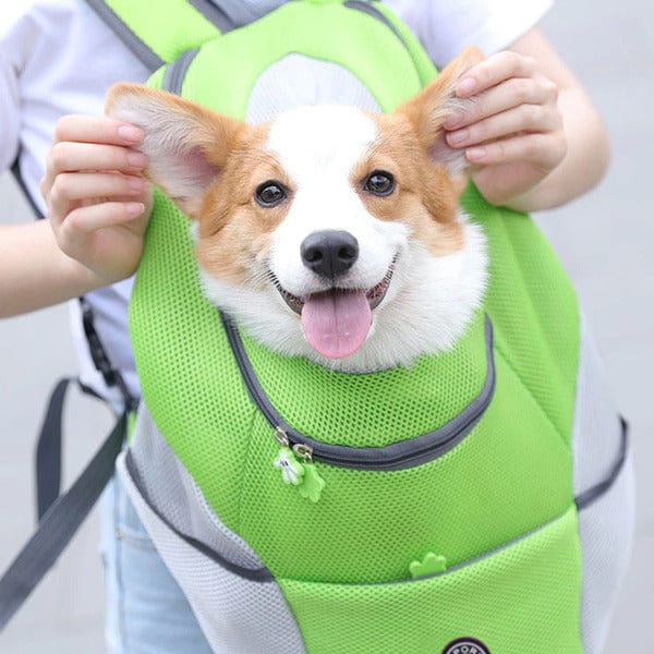Dog Carrier Backpack Oxford Polyester Breathable Mesh S M L Up to 8kg Safety Leash Padded Hiking Travel Pet Bag | Koossa