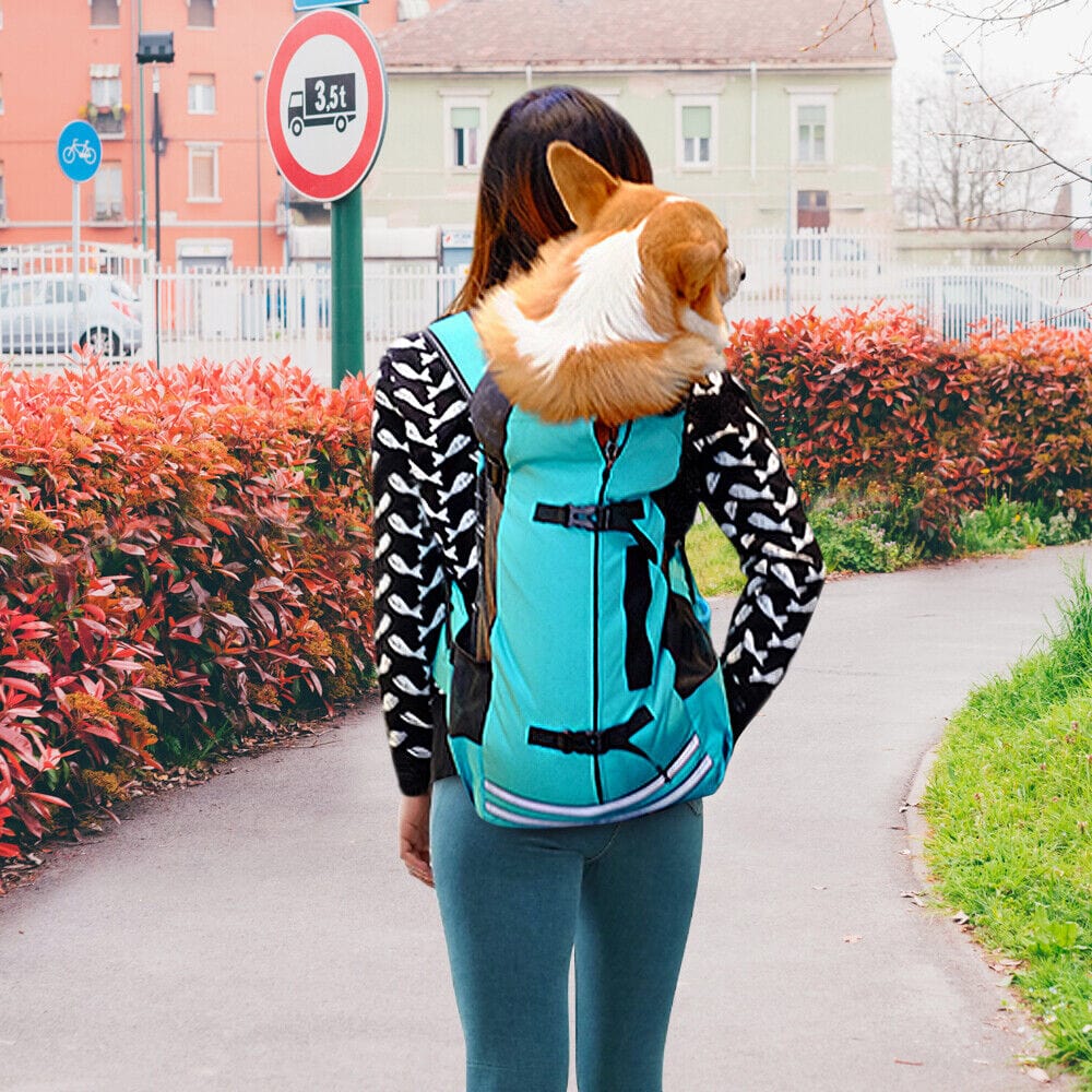 Dog Hiking Backpack 600D Oxford Mesh M L Up to 18kg Reflective Safety Leash Padded Straps Outdoor Carrier Travel | Koossa