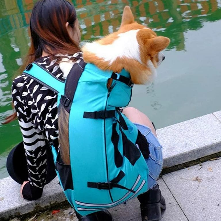 Dog Hiking Backpack 600D Oxford Mesh M L Up to 18kg Reflective Safety Leash Padded Straps Outdoor Carrier Travel | Koossa