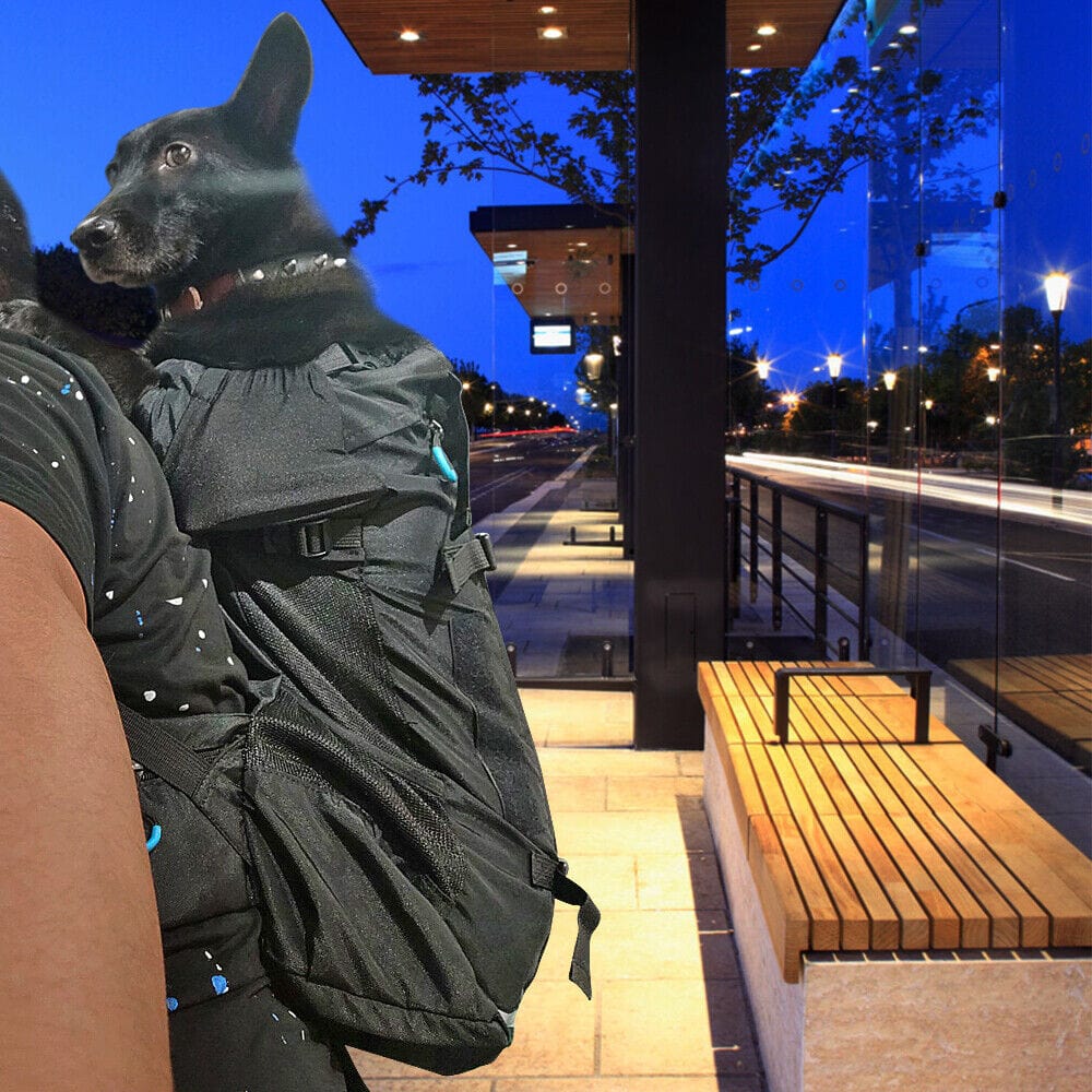 Dog Hiking Backpack 600D Oxford Mesh M L Up to 18kg Reflective Safety Leash Padded Straps Outdoor Carrier Travel | Koossa