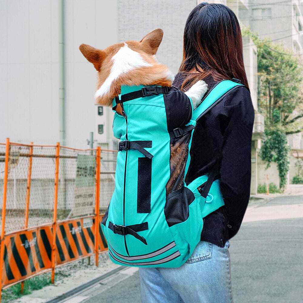 Dog Hiking Backpack 600D Oxford Mesh M L Up to 18kg Reflective Safety Leash Padded Straps Outdoor Carrier Travel | Koossa