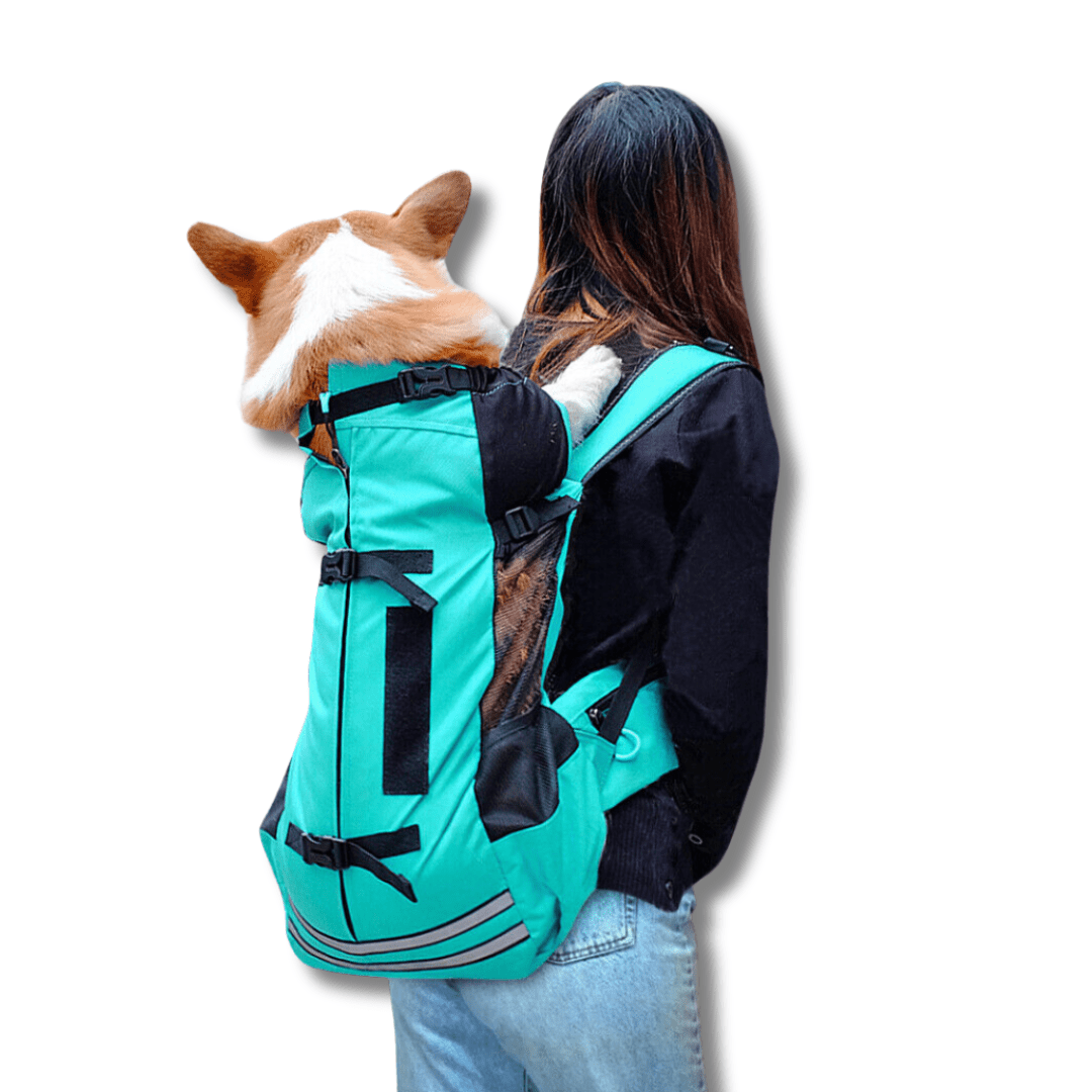 Dog Hiking Backpack 600D Oxford Mesh M L Up to 18kg Reflective Safety Leash Padded Straps Outdoor Carrier Travel | Koossa