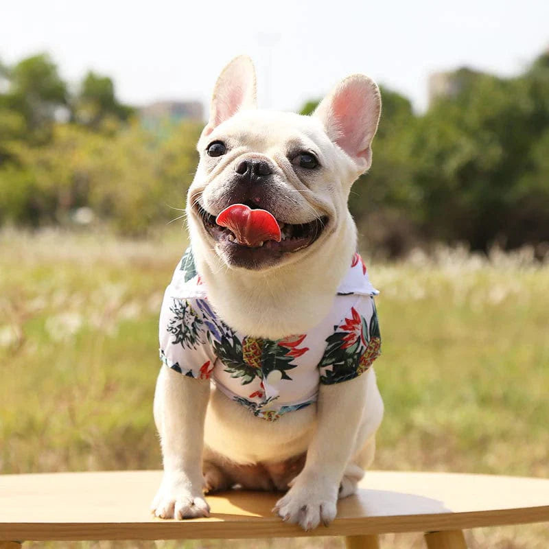 Dog Hawaiian Shirt Lightweight Breathable Tropical Print Button-Down Short Sleeve Summer Dog Top XS–XL Beach Holiday | Koossa
