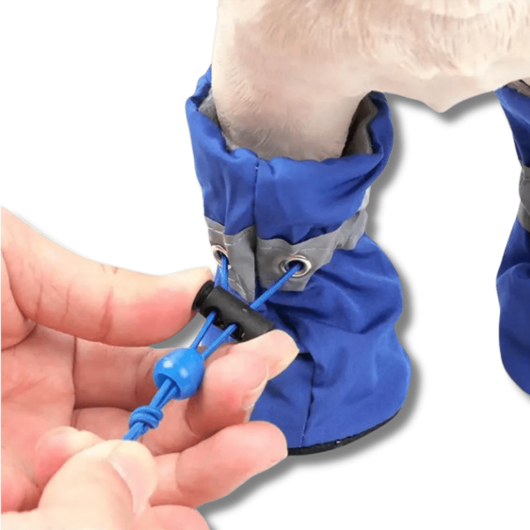 Dog Rain Boots Waterproof Rubber Sole Non-Slip Set of 4 Paw Protector Dog Shoes Mud Salt Snow Winter Walk Small Medium Large | Koossa