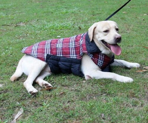 Dog Reversible Coat Warm Padded Two-Sided Winter Jacket Small Medium Large Dog Fleece Quilted Vest Waterproof Windproof Outdoor | Koossa