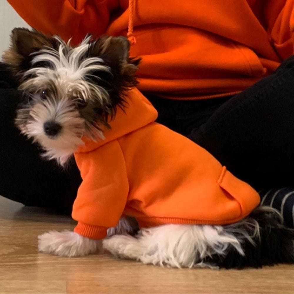 Dog Hoodie Soft Polyester Fleece Lined XS–XXL Small Large Dog Jumper Warm Winter Sweatshirt Pink Navy Red Orange | Koossa