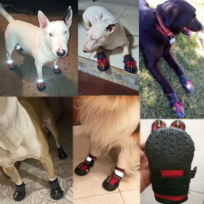 Dog Boots Waterproof PU Leather Rubber Sole Set of 4 Outdoor Paw Protector Dog Shoes Mud Snow Rain Hiking Small Medium Large | Koossa