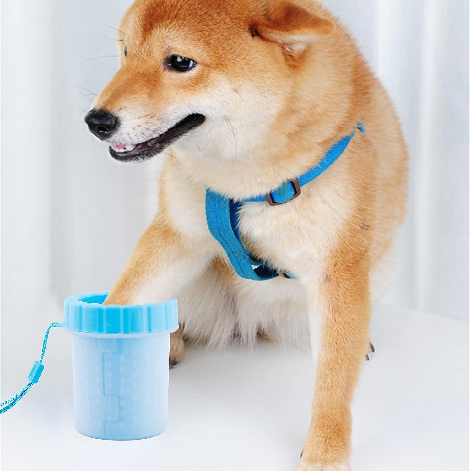 Dog Paw Cleaner Silicone Bristles Portable 11cm 15cm Muddy Paw Washer Travel Cup Small Large Twist Clean Indoor | Koossa