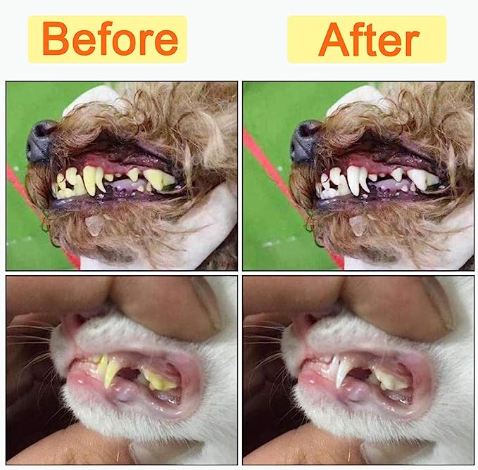 Dog Cat Finger Toothbrush Silicone Dental Brush Pet Teeth Cleaning Gum Massager Oral Care Tool Dogs Cats | Koossa