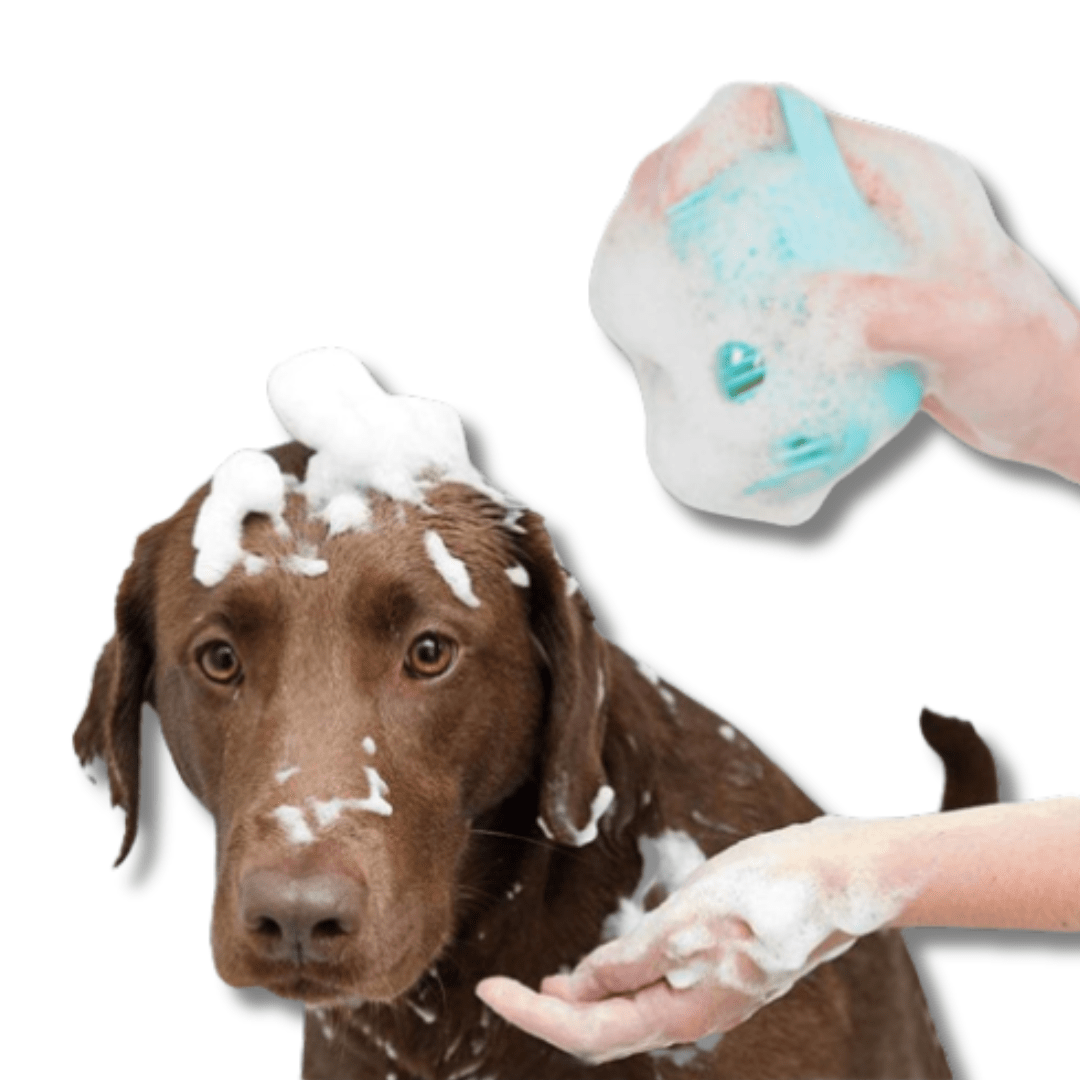 Dog Bath Brush Shampoo Dispenser 2-in-1 Soft Rubber Bristle Scrub Massage Grooming Brush Small Medium Large Dogs Blue Pink Yellow | Koossa