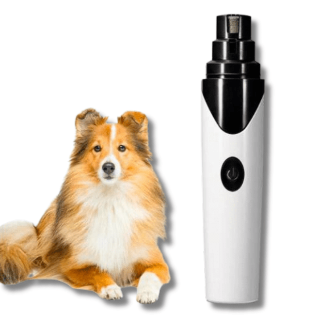 Pet Nail Grinder Electric USB Rechargeable 2-Speed Quiet Detachable Wheel Dog Cat Nail Trimmer Small Medium Large | Koossa