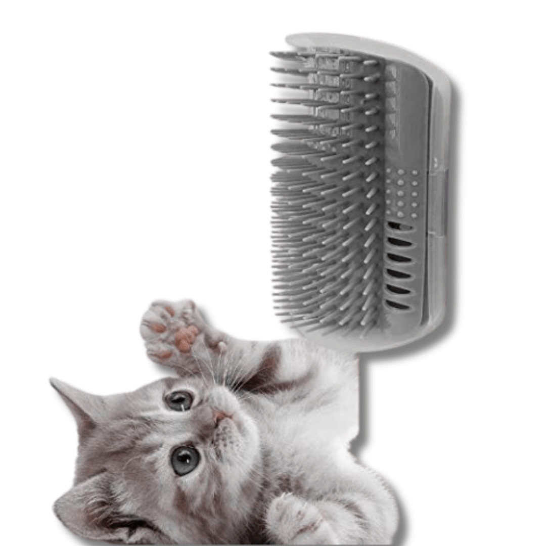 Cat Self-Grooming Brush Wall Corner Silicone Bristles Snap-On Massage Scratcher Hairball Reduction Indoor | Koossa