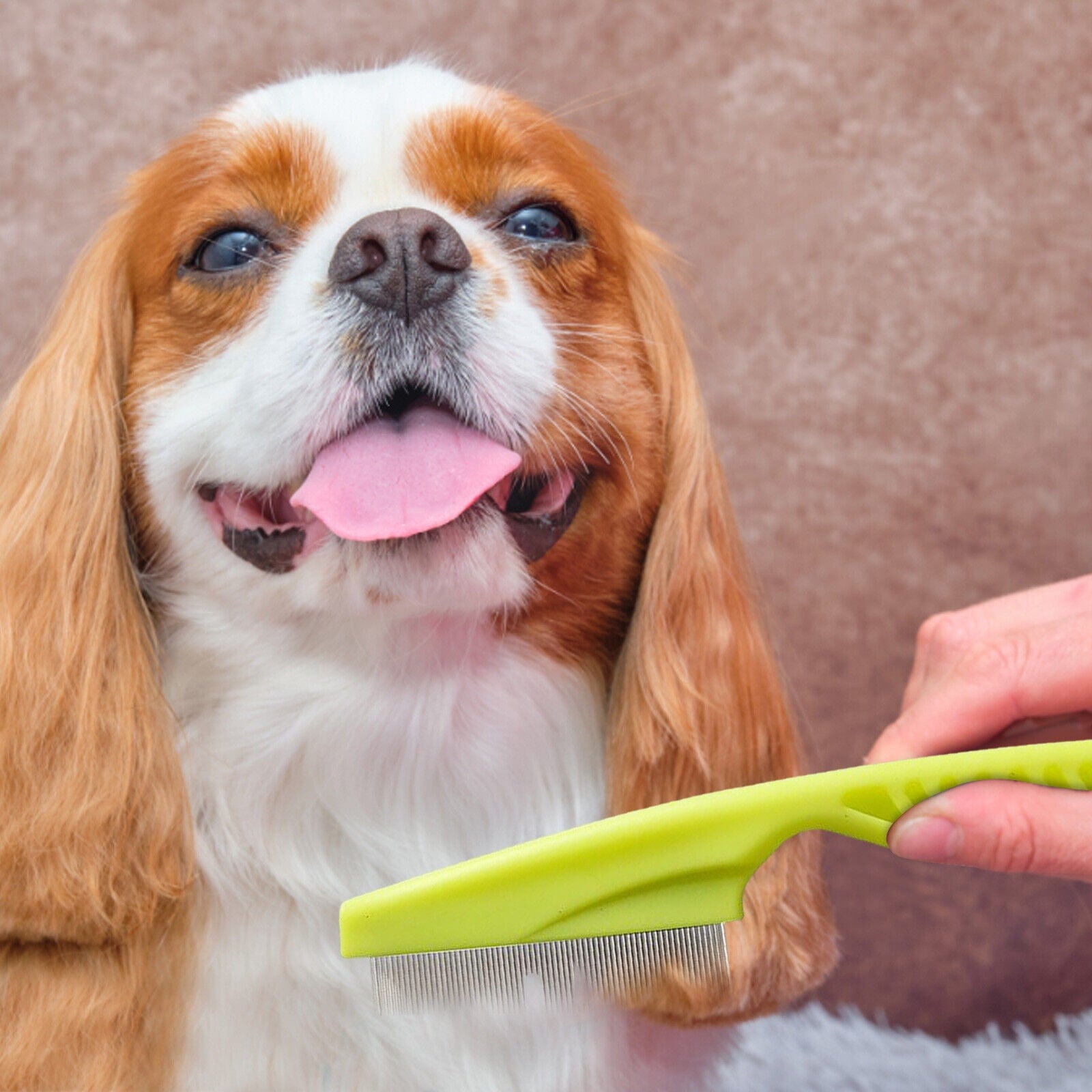 Pet Flea Comb Stainless Steel Fine Teeth Flea Egg Removal Dog Cat Grooming Comb All Breeds Easy Clean | Koossa