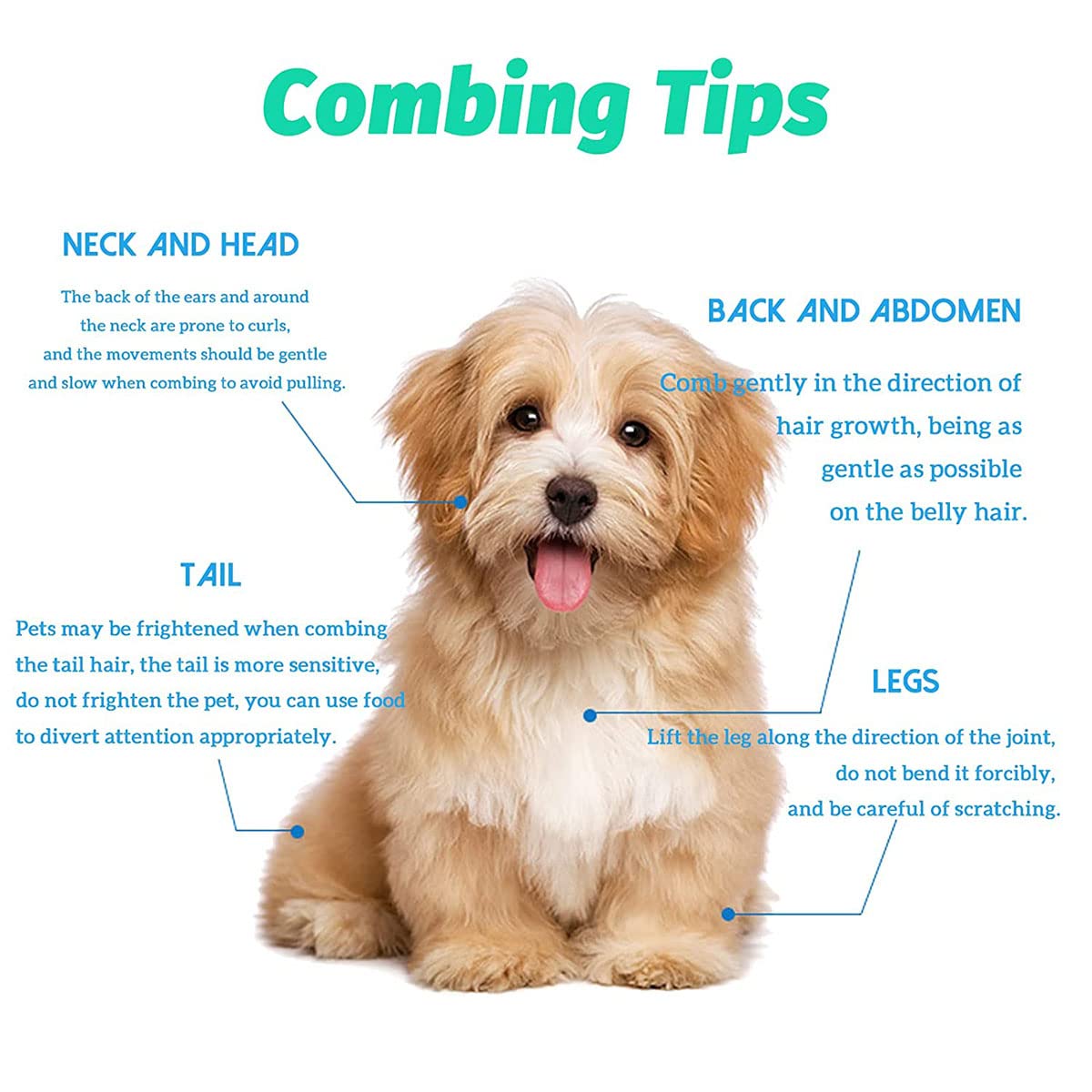 Pet Flea Comb Stainless Steel Fine Teeth Flea Egg Removal Dog Cat Grooming Comb All Breeds Easy Clean | Koossa
