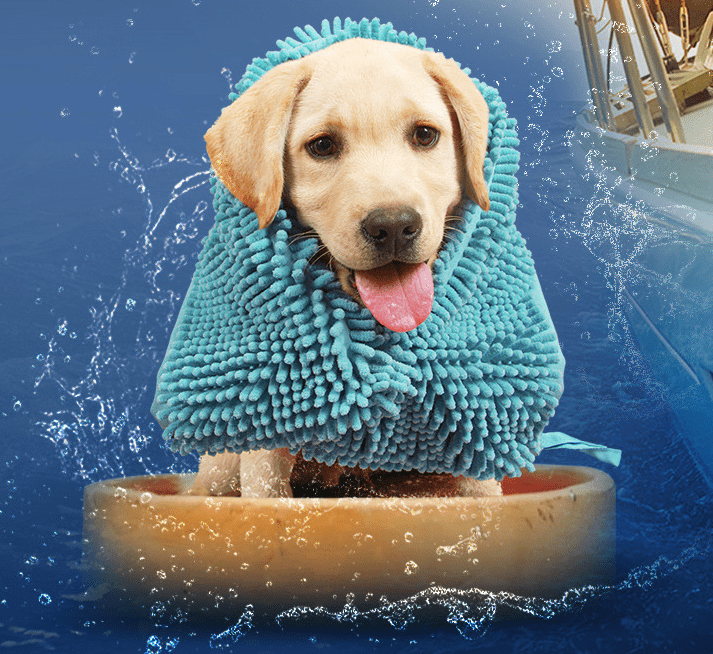 Dog Towel Microfibre Mitten Design Super Absorbent S M L Bath Drying Glove Pet Towel Machine Washable Mud Paw | Koossa
