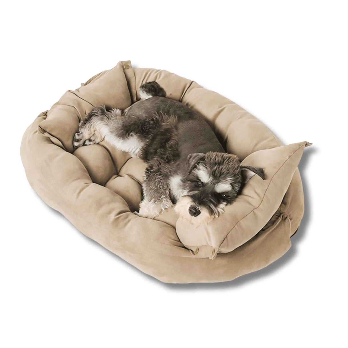 Dog Bed 3-in-1 Convertible Velvet Sofa Nest Mattress PP Cotton Luxury Dog Sofa Bed Headrest Small Medium Large Grey Pink Teal Navy Tan | Koossa