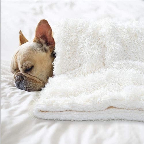 Pet Blanket Faux Fur Plush Soft Washable Dog Cat Blanket Calming Snuggle Throw Sofa Car Seat Furniture Cover Neutral | Koossa