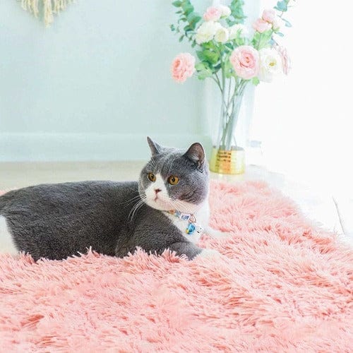 Pet Blanket Faux Fur Plush Soft Washable Dog Cat Blanket Calming Snuggle Throw Sofa Car Seat Furniture Cover Neutral | Koossa