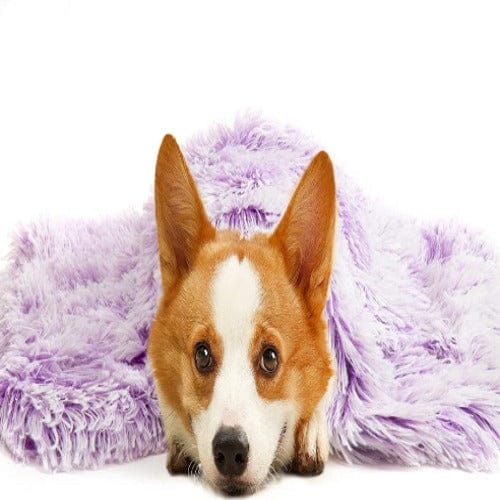 Pet Blanket Faux Fur Plush Soft Washable Dog Cat Blanket Calming Snuggle Throw Sofa Car Seat Furniture Cover Neutral | Koossa