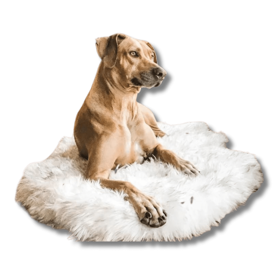 Dog Fluffy Mat Faux Fur Hypoallergenic Memory Foam S M L XL Orthopedic Anti-Anxiety Washable Dog Rug Calming Bed | Koossa Dog Fluffy Mat Faux Fur Hypoallergenic Memory Foam S M L XL Orthopedic Anti-Anxiety Washable Dog Rug Calming Bed | Koossa