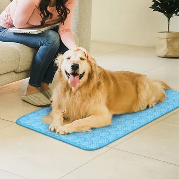 Pet Cooling Mat Pressure Activated Self-Cooling Gel Pad Dog Cat Cool Mat Summer Heat Relief Indoor Outdoor Small Medium Large | Koossa