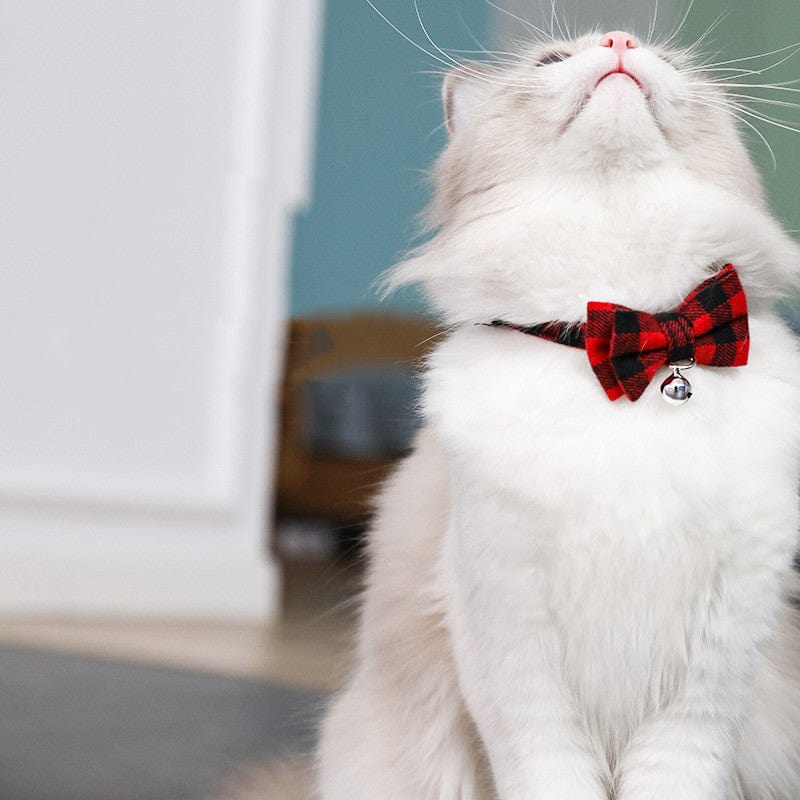 Cat Collar Bow Tie Nylon Adjustable Safety Breakaway Buckle Bell Lightweight Indoor Outdoor Kitten Adult Cat | Koossa