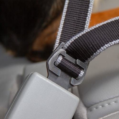 Dog Car Seat Belt Leash High Tensile Adjustable Clip Safety Belt Dog Car Harness Connector Lead Small Medium Large Travel Secure | Koossa