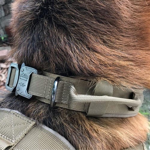 Tactical Dog Collar 1000D Nylon Padded Metal Buckle Control Handle M L XL Training Collar German Shepherd Large Dog | Koossa