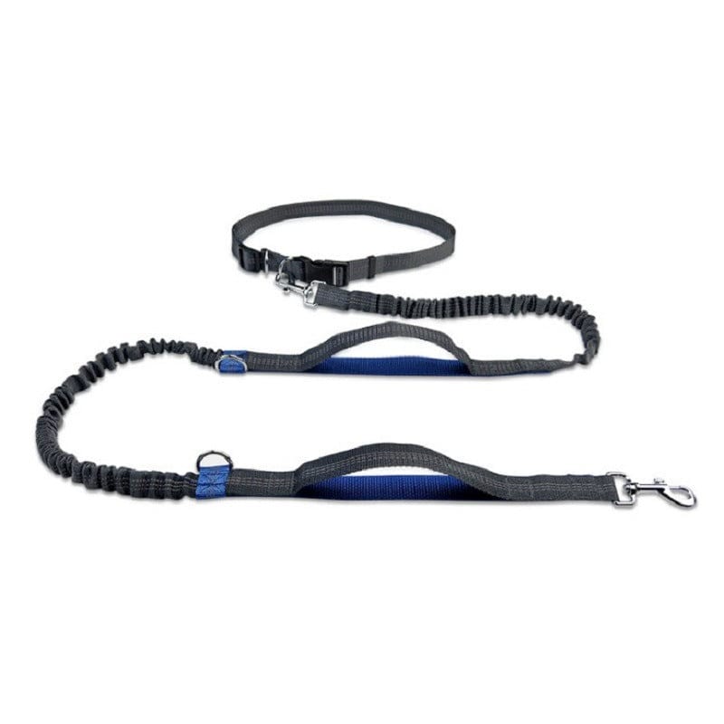 Hands-Free Dog Running Leash Waist Belt Elastic Shock Absorbing Reflective 160–260cm Jogging Walking Hiking Lead | Koossa