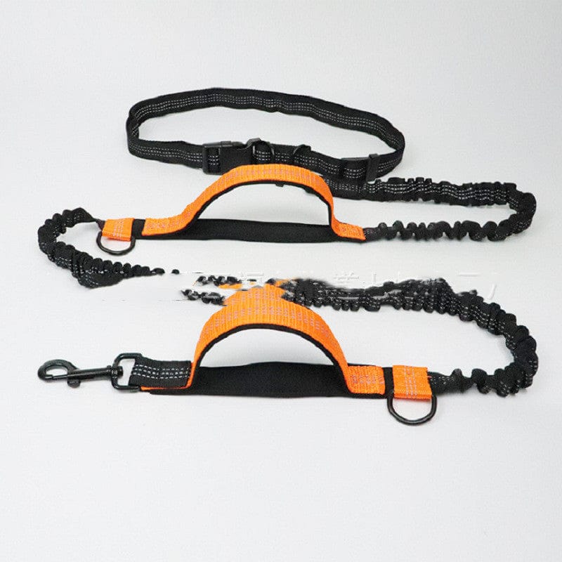 Hands-Free Dog Running Leash Waist Belt Elastic Shock Absorbing Reflective 160–260cm Jogging Walking Hiking Lead | Koossa