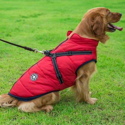 Dog Jacket Waterproof Insulated Built-In Harness Padded Winter Coat Reflective Large Medium Small Dog Windproof Outdoor Vest | Koossa