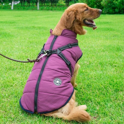 Dog Jacket Waterproof Insulated Built-In Harness Padded Winter Coat Reflective Large Medium Small Dog Windproof Outdoor Vest | Koossa