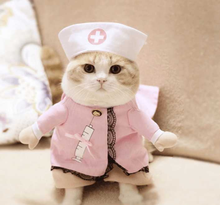 Dog Halloween Costume Novelty Dress-Up S–XL Doctor Nurse Pilot Captain Guitarist Cat Dog Funny Pet Outfit | Koossa