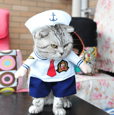 Dog Halloween Costume Novelty Dress-Up S–XL Doctor Nurse Pilot Captain Guitarist Cat Dog Funny Pet Outfit | Koossa