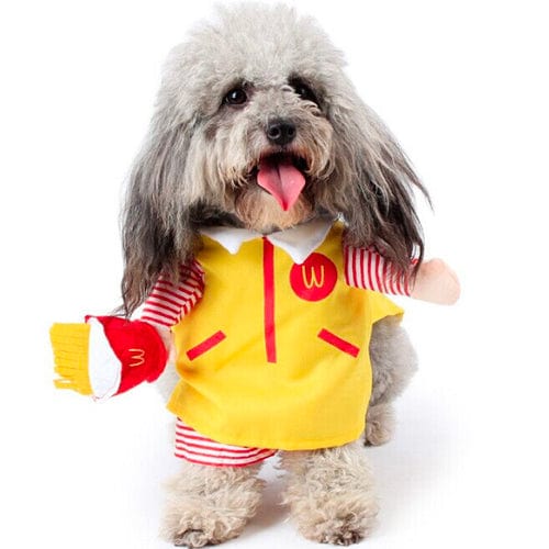 Dog Halloween Costume Novelty Dress-Up S–XL Doctor Nurse Pilot Captain Guitarist Cat Dog Funny Pet Outfit | Koossa