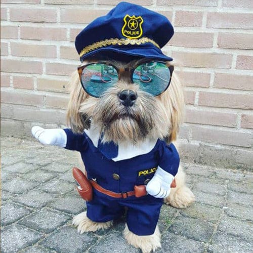 Dog Halloween Costume Novelty Dress-Up S–XL Doctor Nurse Pilot Captain Guitarist Cat Dog Funny Pet Outfit | Koossa