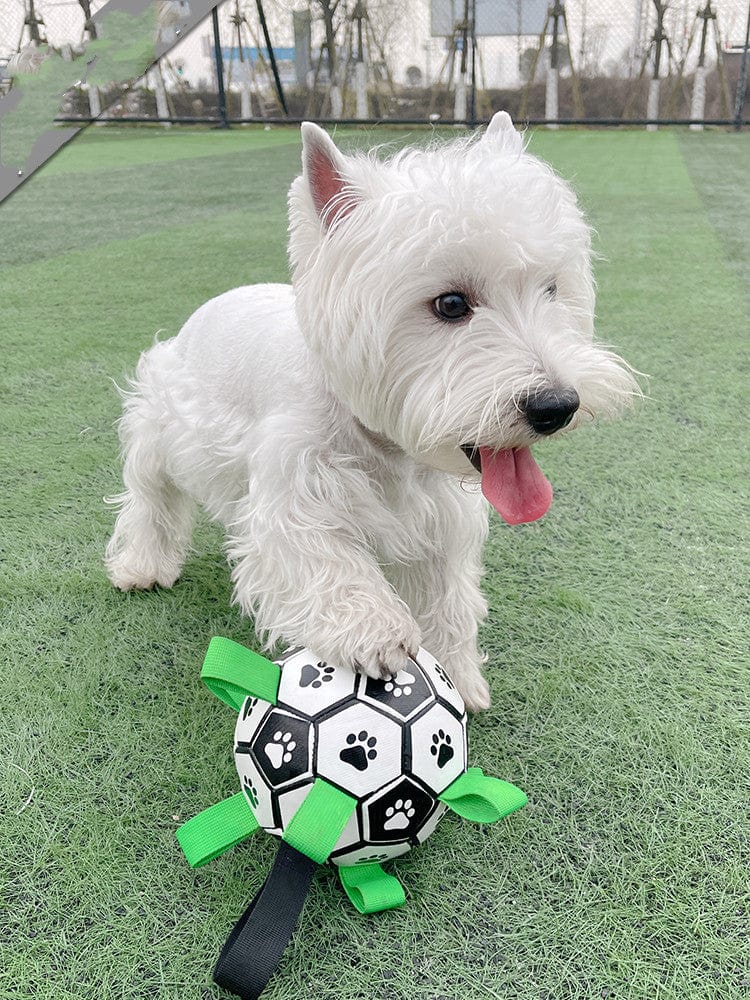 Dog Football Floating Nylon Grab Tabs Inflatable Paw Print Pool Beach Lake Fetch Toy Interactive Outdoor Dog Ball | Koossa