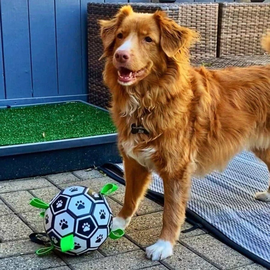 Dog Football Floating Nylon Grab Tabs Inflatable Paw Print Pool Beach Lake Fetch Toy Interactive Outdoor Dog Ball | Koossa