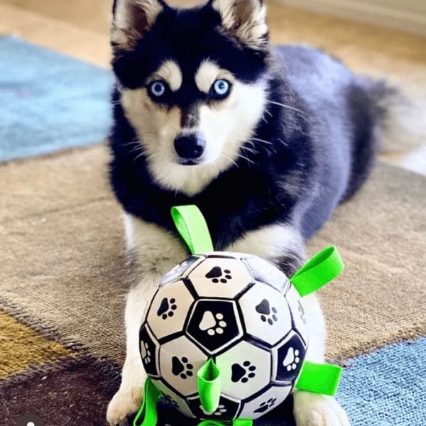 Dog Football Floating Nylon Grab Tabs Inflatable Paw Print Pool Beach Lake Fetch Toy Interactive Outdoor Dog Ball | Koossa