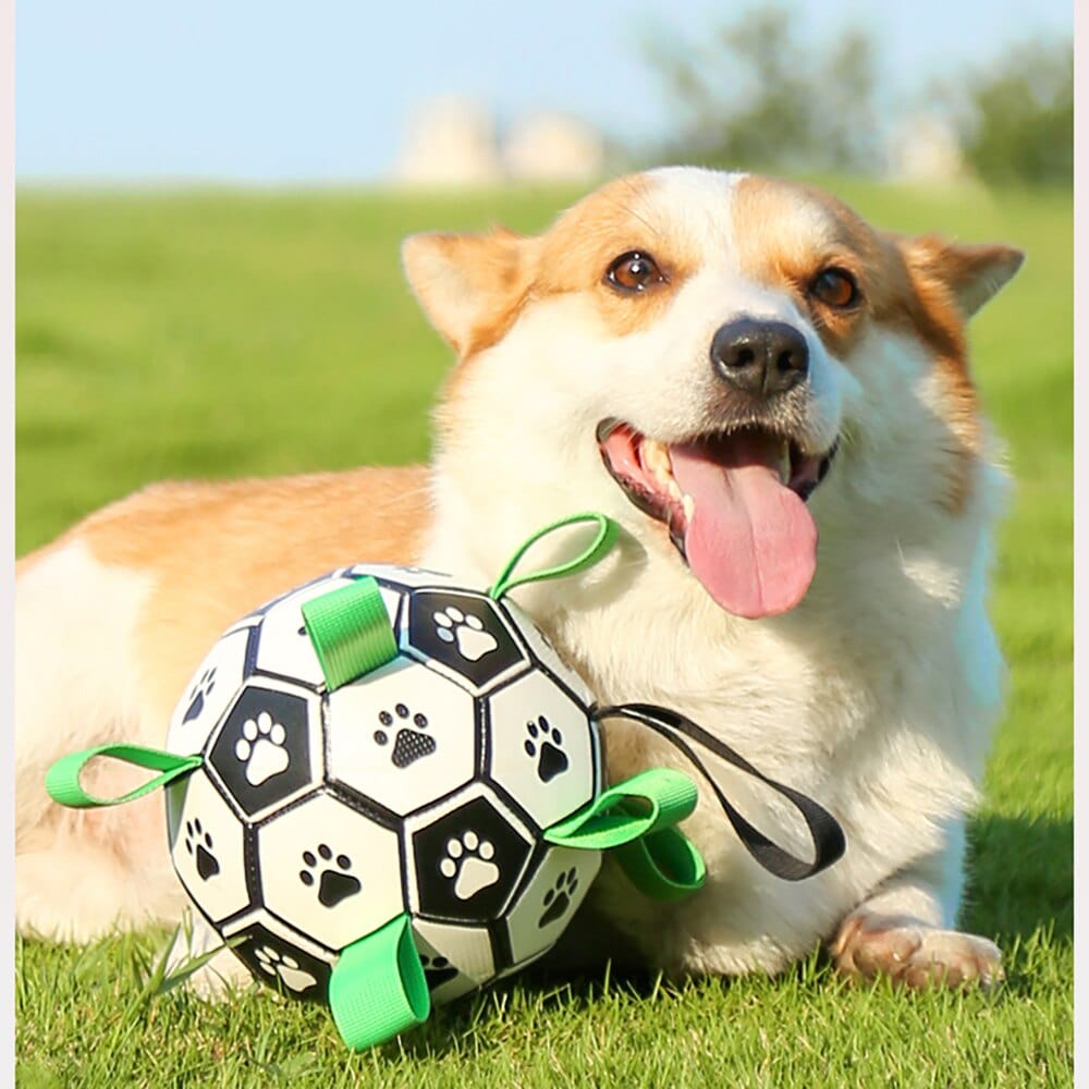 Dog Football Floating Nylon Grab Tabs Inflatable Paw Print Pool Beach Lake Fetch Toy Interactive Outdoor Dog Ball | Koossa