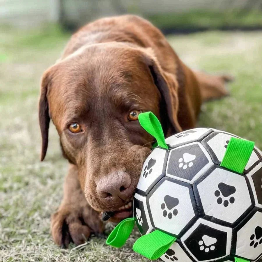 Dog Football Floating Nylon Grab Tabs Inflatable Paw Print Pool Beach Lake Fetch Toy Interactive Outdoor Dog Ball | Koossa