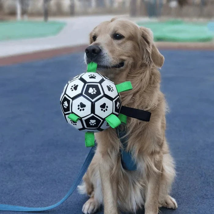 Dog Football Floating Nylon Grab Tabs Inflatable Paw Print Pool Beach Lake Fetch Toy Interactive Outdoor Dog Ball | Koossa