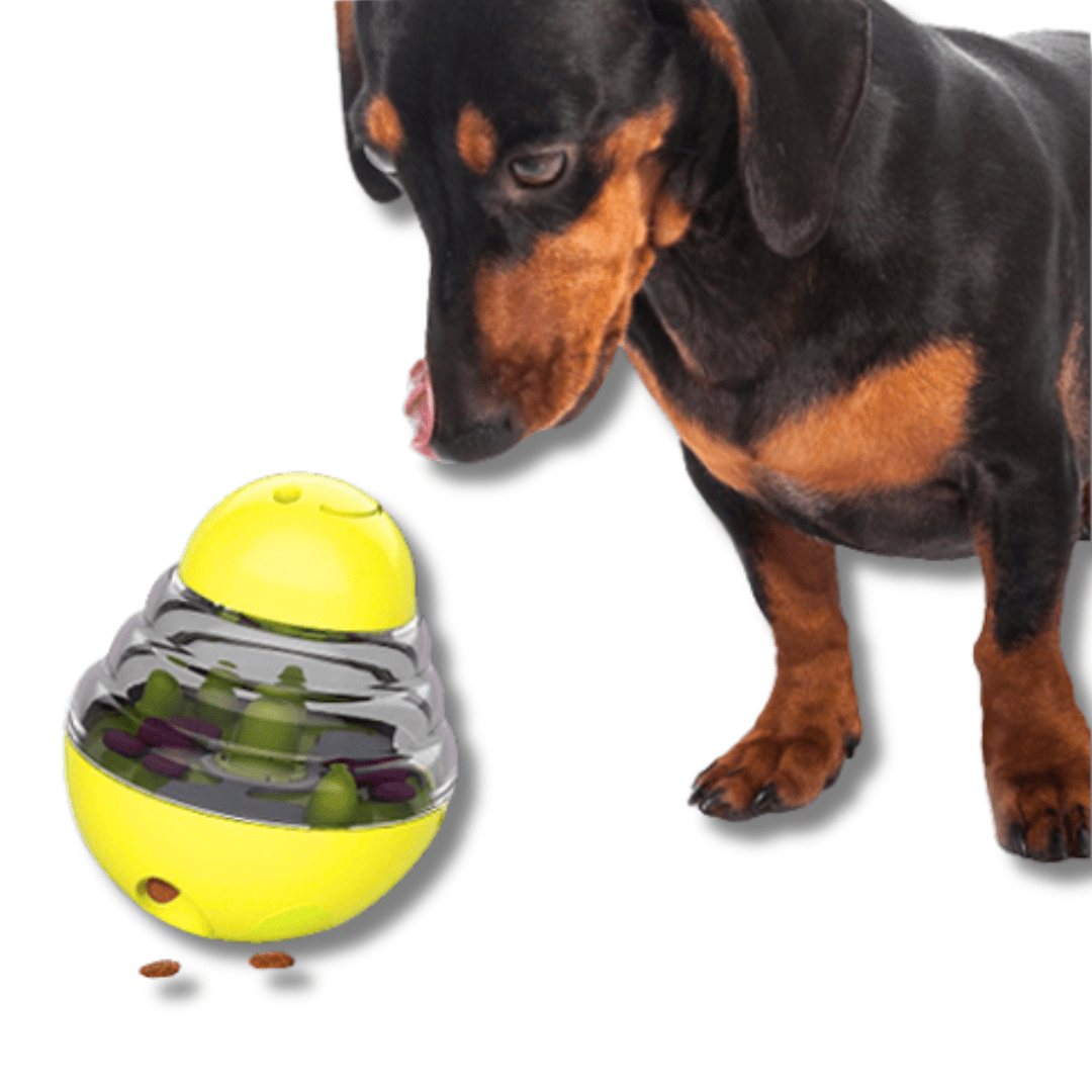 Dog Treat Dispensing Puzzle Toy Wobble Ball Slow Feeder Interactive IQ Toy Small Medium Large Dogs Cats Anti-Gulp 19cm Green Yellow Blue Pink | Koossa